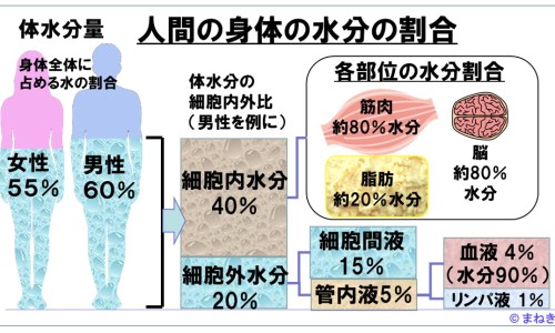目前用药及依从性-最常用于描述用药依从性的词汇网- 用药依从性和用药情况的关系知识,分享目前用药及依从性